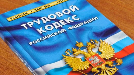 Госдума одобрила поправки к ТК РФ с гарантиями для мобилизованных работников